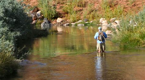 Fishing Capitol Reef Country Capitolreefcountry