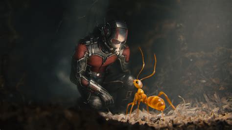 Ant Man Movie HD Movies 4k Wallpapers Images Backgrounds Photos