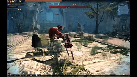 Mabinogi Heros Vindictus Perilous Ruins Decisive Battle Evy Vs