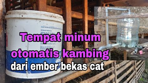 Lebih HEMAT Dan Mudah Tempat Minum Kambing Otomatis Dari Ember Bekas