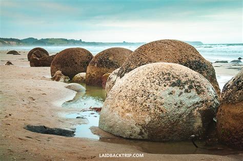 Moeraki Boulders Visit The Geological Wonder In New Zealand LAIDBACK