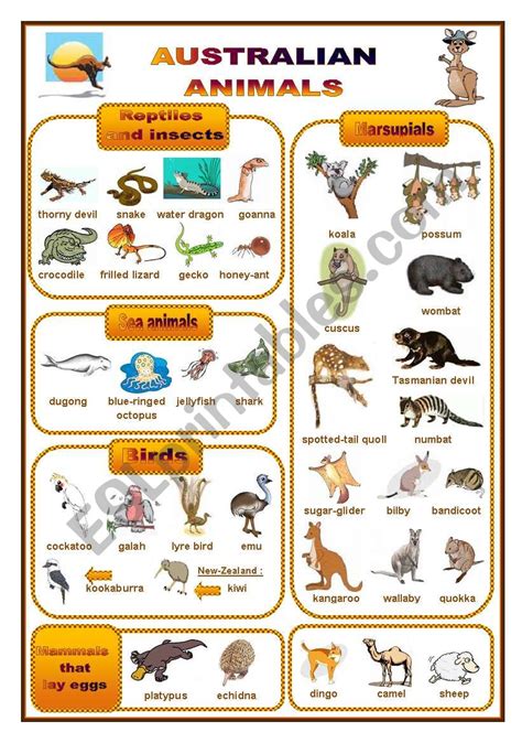 Australian animals: a pictionary (fully editable) - ESL worksheet by ...