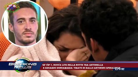 Gf Vip 7 Nuova Lite Nella Notte Tra Antonella E Edoardo Donnamaria