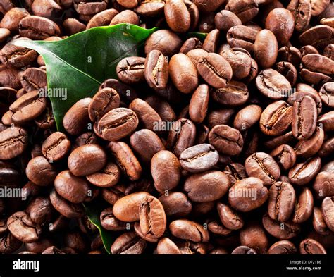 Coffee Beans Closeup Snapshot Stock Photo Alamy