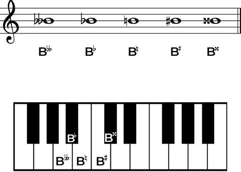 B Flat Music Note: The Complete Guide to the Note and Key