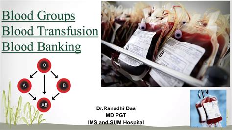 Blood Groups Blood Transfusion Hazards Blood Bank Ppt