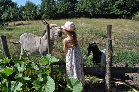 Gite La Tour Du Grand Boust Longue Jumelles Anjou Tourisme