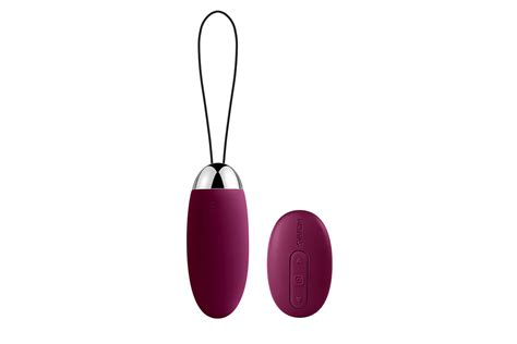 Remote Control Sex Toys