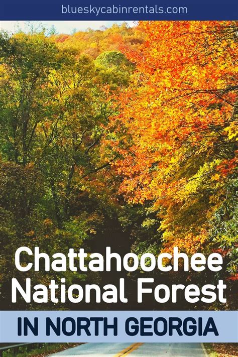 Welcome to Chattahoochee National Forest! in 2023 | Chattahoochee ...