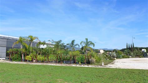 Nature Tropiques votre pépinière de plantes tropicales rares à La