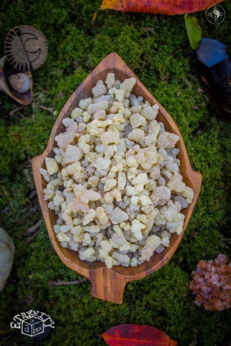 Frankincense Gum Resin Powder Wild Harvested Eternity In A Box