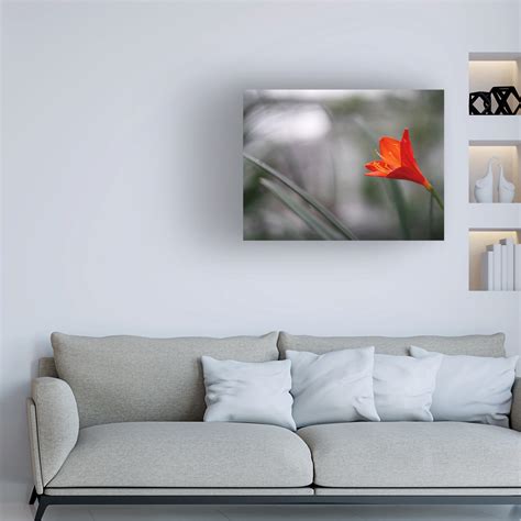 Trademark Fine Art Suzanne Bonin Naked Lady Canvas Art Wayfair