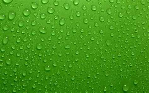 Green Wallpaper Background - WallpaperSafari