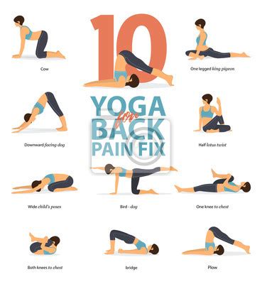 Infographic Yoga Poses To Relieve Lower Back Pain Vector Image