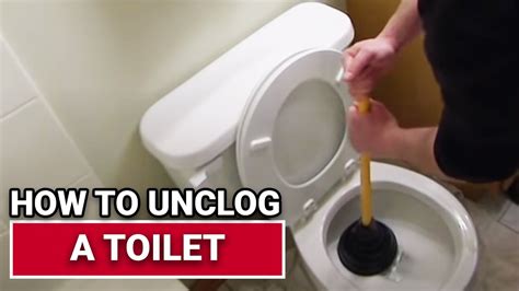 How To Unclog A Toilet Ace Hardware Youtube