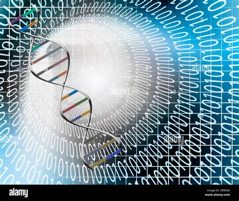 Binary Tunnel And DNA Strand Stock Photo Alamy