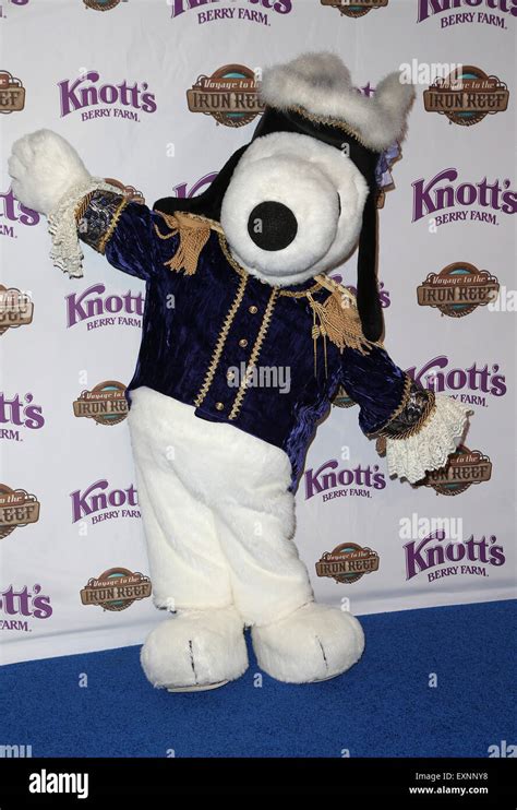 Knotts Berry Farm Celebrates The Launch Of Their New Ride Voyage To