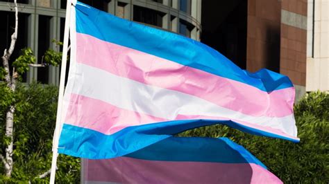 [最新] transgender pride flag colors 689311-Trans pride flag color codes