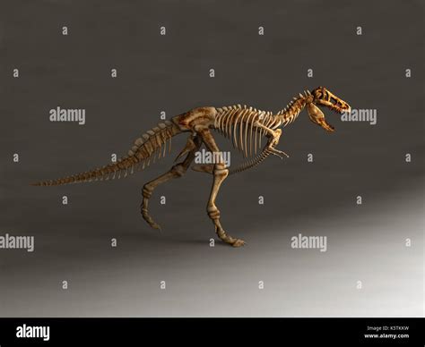 T Rex Tyrannosaurus Rex T Rex Reconstruction Immagini E Fotografie