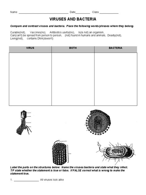 Viruses And Bacteria Worksheet Live Worksheets Worksheets Library