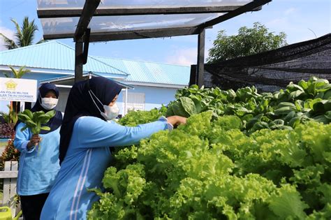 Jaga Ketahanan Pangan Di Masa Pandemi Pia Ardhya Garini Cabang D Ii