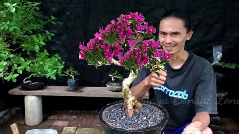 Ganti Media Tanam Bonsai Solusi Ampuh Agar Bonsai Tetap Subur YouTube