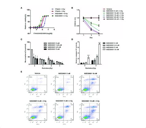 Nxd Renders Gscs More Sensitive To Radiation A Cell Viability