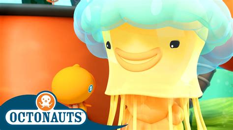 Octonauts The Lion S Mane Jellyfish Season Full Episodes