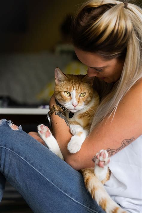 Pawtraits And Pawprints Pet Photography