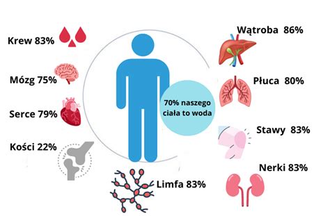 Rola Wody W Organizmie Terapia Sokami