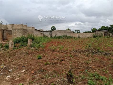 Terrains Terrain Lot Apessito Au Togo Coinafrique Togo