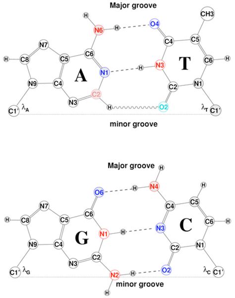 Comparative Hydrogen Bonding Interactions Chemical Structures