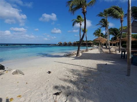 Top 4 Things To Do In Renaissance Island Beach Aruba