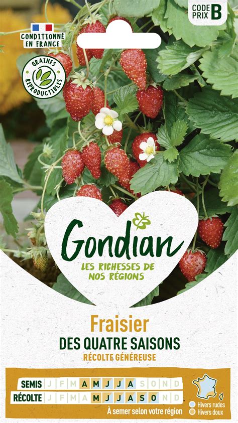 Fraisier Des Quatre Saisons Gondian