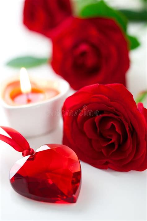 Red Roses and Heart for Valentine S Day Stock Photo - Image of bunch ...