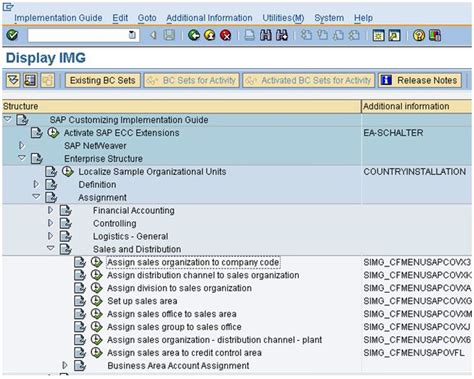 How To Map The Elements Of The SAP SD Organizational Structure