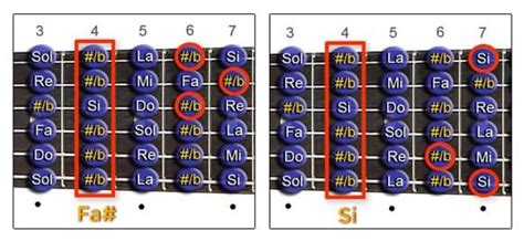 C Mo Usar El Capo De La Guitarra Cejilla O Capotraste Tipos