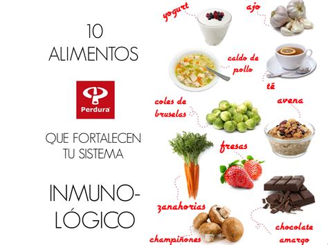 Alimentos que fortalecen tu sistema inmunológico Alimentos