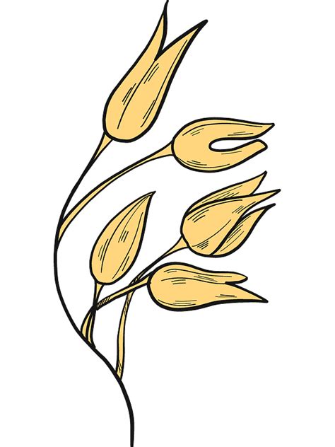 Wheat Transparent Clipart Pictures Clipartlib