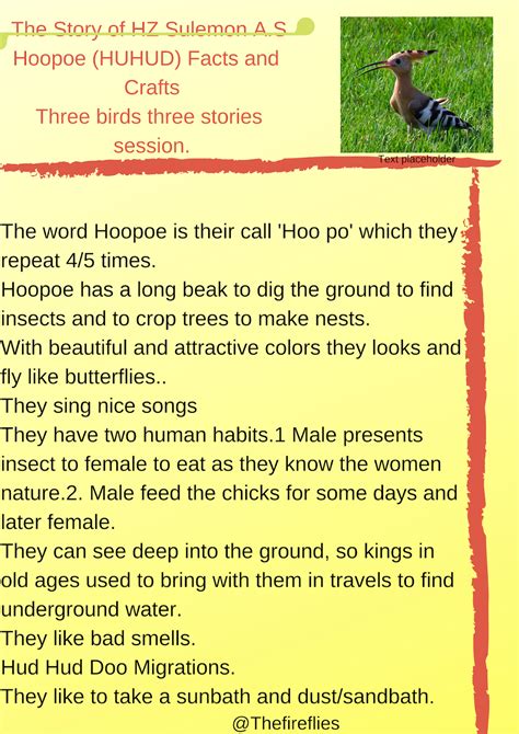 Facts About The Birds In Quran| Unit Study 1 Hoopoe (hudhud)