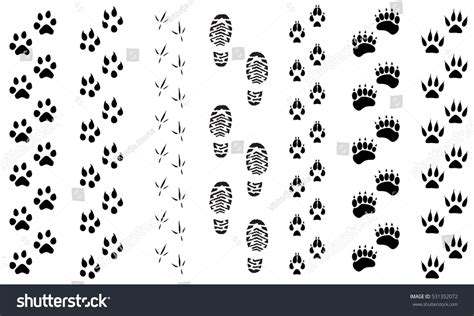 575 Coyote Deer Images, Stock Photos & Vectors | Shutterstock