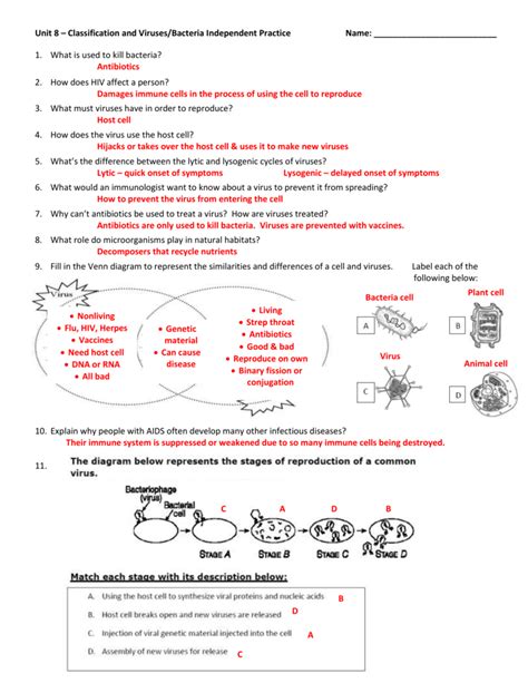 Viruses And Bacteria Worksheet Key Ivuyteq