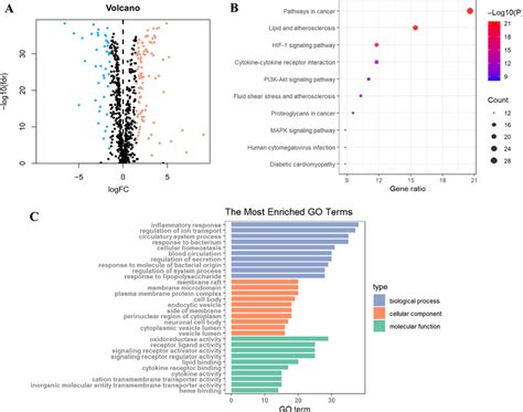 Go And Kegg Analyses Of Os Related Degs In Cancer And Adjacent Tissues