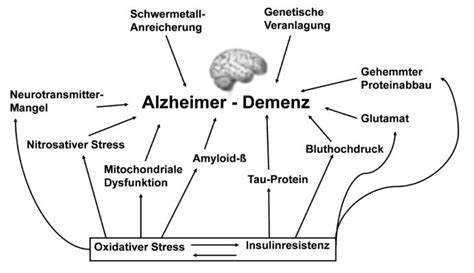 Pin Auf Alzheimer