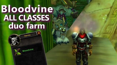 Bloodvine ALL CLASSES Duo Farm ZG WoW Classic Phase 4 YouTube