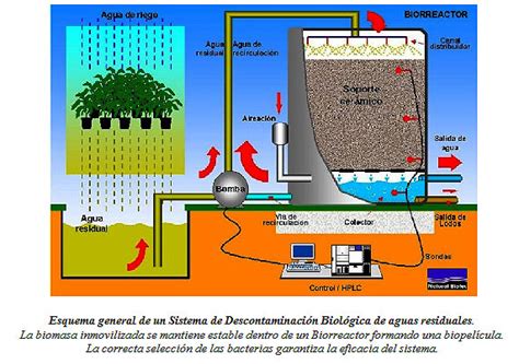 AGUAS RESIDUALES Tratamiento Del Agua Residual