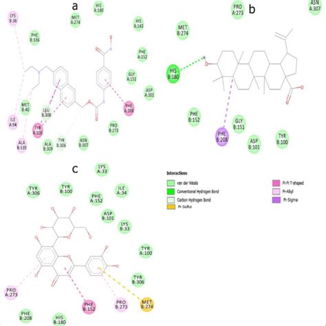 3D View Of The Interaction Between A Givinostat B Betulinic Acid C