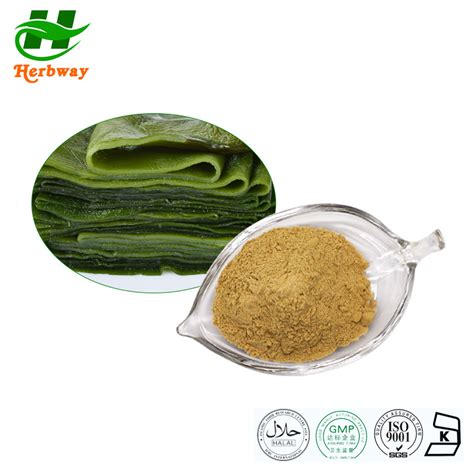 Seaweed Algae Extract 10 50 Fucoxanthin Powder Natural Pigment