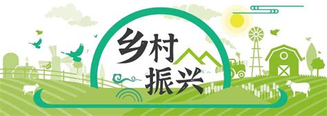 焦点 乡村振兴五年成绩单：农村居民人均可支配收入增近三成 粮食 乡村 大豆 新浪新闻