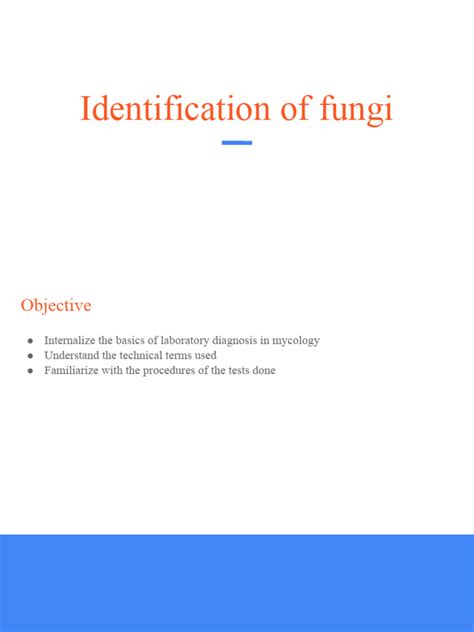 Identification of Fungi | PDF | Staining | Medical Specialties